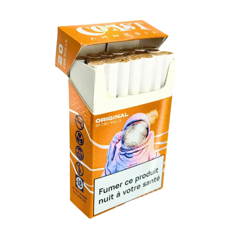 Coast Amnésia – Image 2