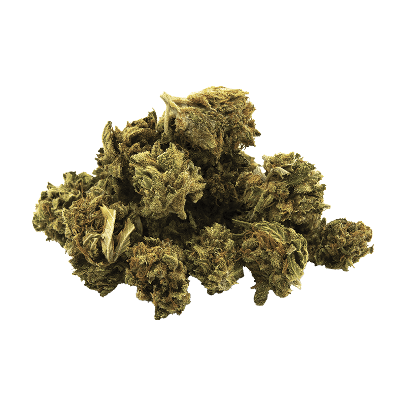 Small bud alien skunk