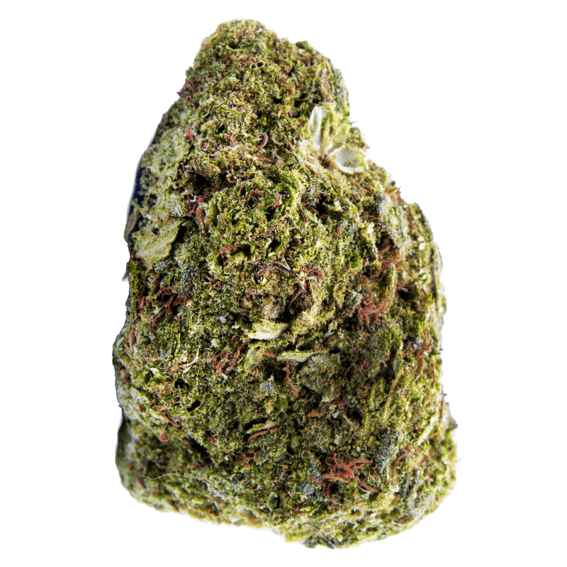 Hawaiien frozen indoor