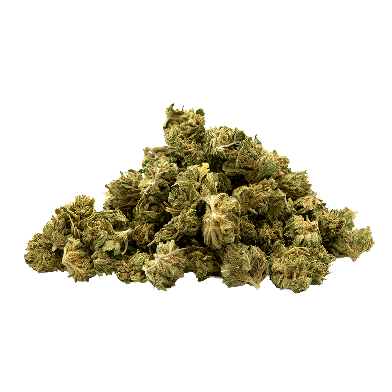 Small bud sour diesel