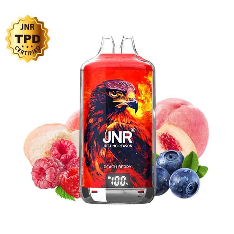 Puff Falcon-X Plus 28K Peach Berry 950mAh 22ml - JNR